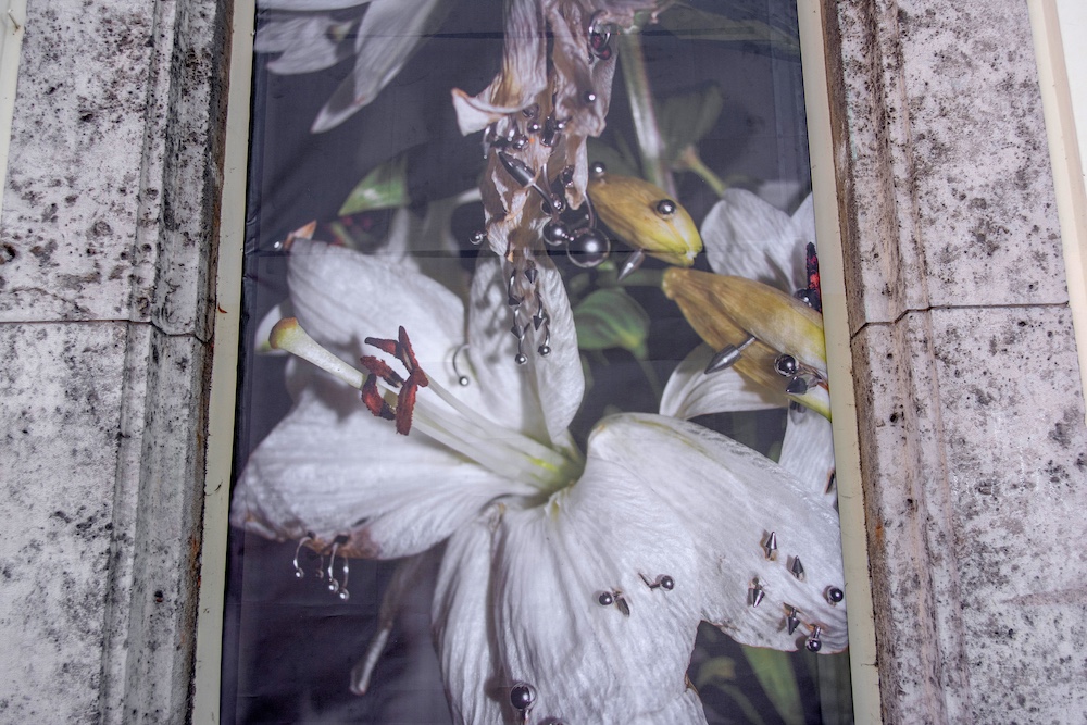 Klasse ehem. Kogler - jæja