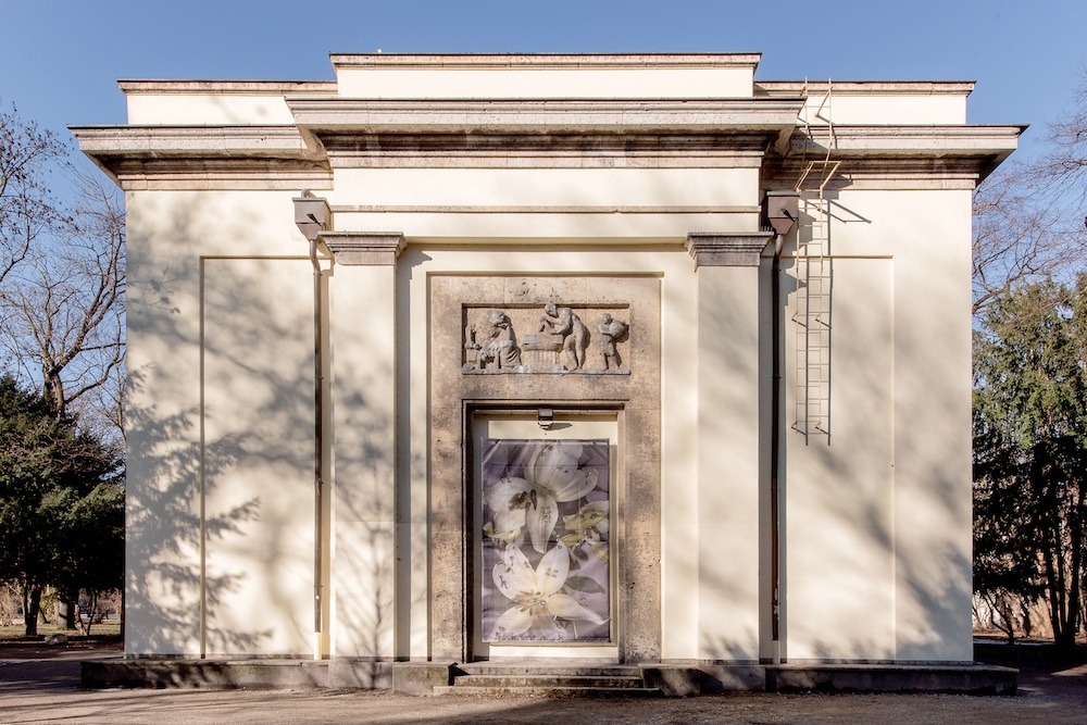 jæja - Klasse ehem. Kogler